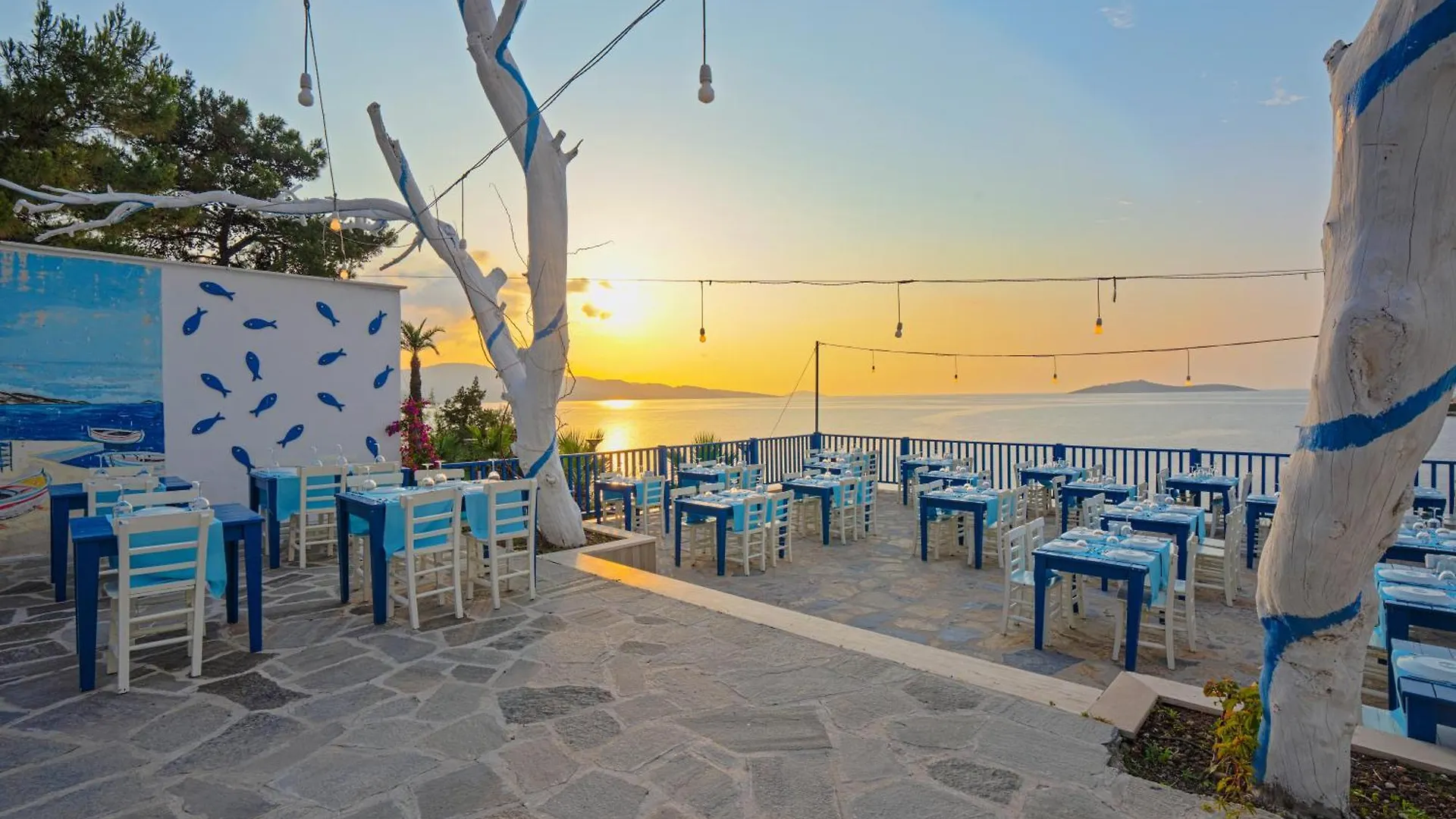 Blue Dreams Resort Bodrum Torba